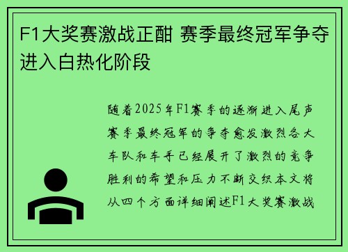 F1大奖赛激战正酣 赛季最终冠军争夺进入白热化阶段