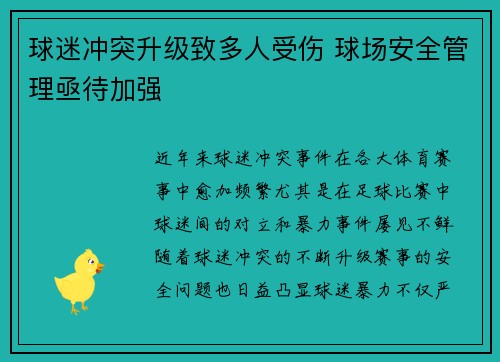 球迷冲突升级致多人受伤 球场安全管理亟待加强